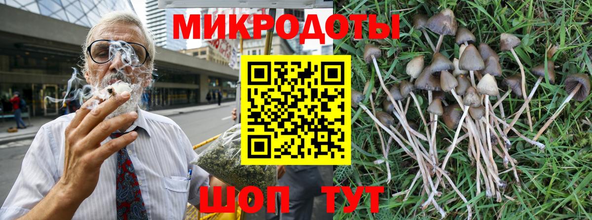Псилоцибиновые грибы Cubensis Кудрово