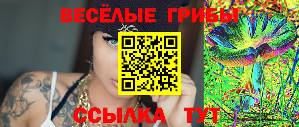 Кудрово  продажа наркотиков  Вход с VPN  Псилоцибиновые грибы прущие грибы 